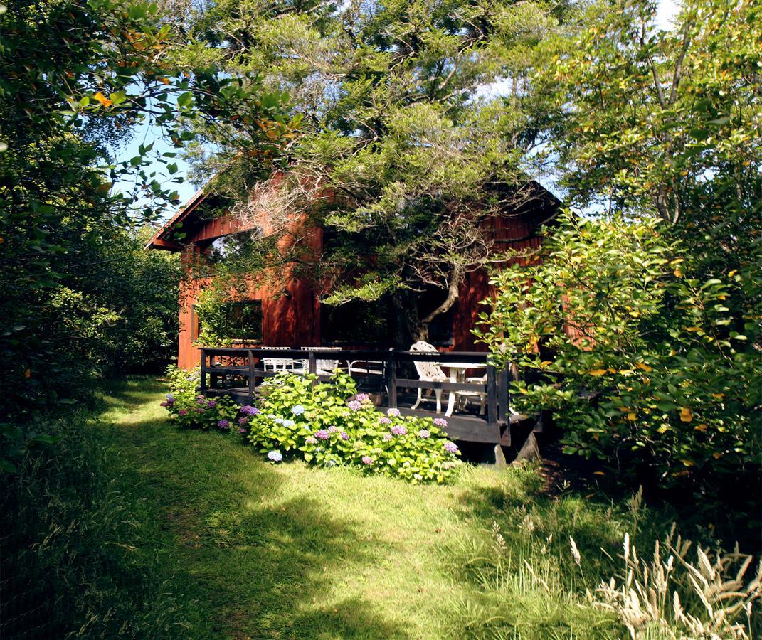 Cabañas Natural Park Lodge Pucón Exterior foto